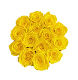 Bright Yellow Signature Round Plus Special (1 left)