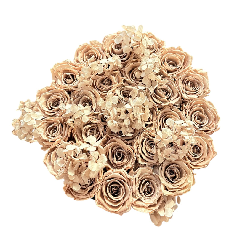 Grandeur Sand Beige Hydrangeas Special (1 left)