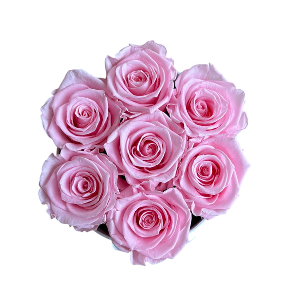 Bridal Pink Classic Round Special (1 left)