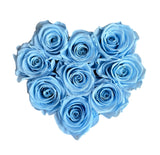 Large Baby Blue Heart Special (1 left)